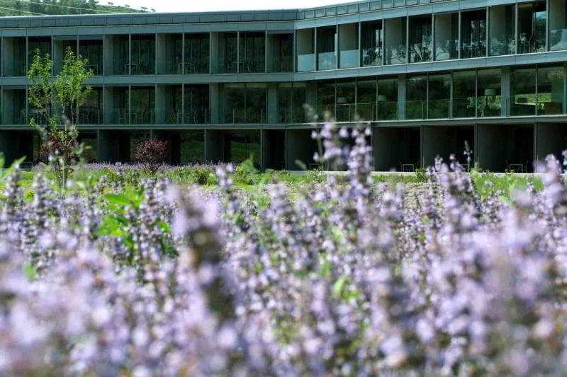 Hotel Mon Sant Benet Sant Fruitos de Bages Exterior photo